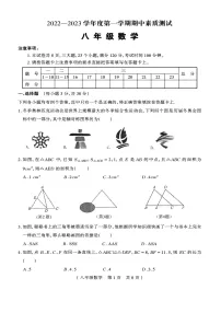 河南省驻马店市平舆县2022-2023学年八年级上学期期中素质测试数学试卷(含答案)