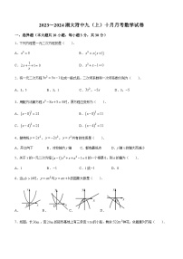 湖北省武汉市湖北大学附属中学2023-2024 学年九年级上学期月考数学试题(无答案)