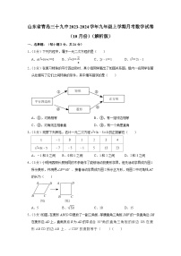 山东省青岛第三十九中学2023-2024学年九年级上学期月考数学试卷（10月份） （月考）