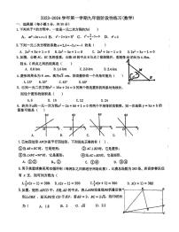 广东省深圳市龙岗区石芽岭学校2023--2024学年数学九年级上学期月考试卷