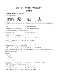 湖南省长沙市青竹湖湘一外国语学校2023-2024学年八年级上学期第一次月考数学试题(无答案)