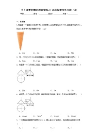 苏科版九年级上册2.8 圆锥的侧面积练习