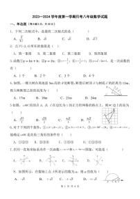 陕西省西安市蓝田县2023-2024学年八年级上学期数学第一次月考试卷