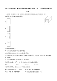 2023-2024学年广东省深圳外国语学校九年级（上）月考数学试卷（10月份）（含解析）