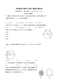 苏科版初中数学九年级上册期中测试卷（较易）（含答案解析）