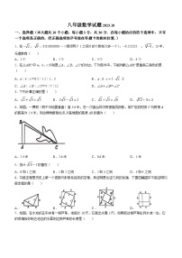 山东省菏泽经济技术开发区多校联考2023-2024学年八年级上学期10月月考数学试题