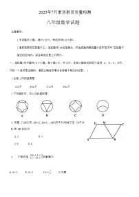 山东省菏泽市曹县2022-2023学年八年级下学期素质教育质量检测数学试卷(含答案)