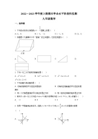 四川省成都市成华区2022-2023学年九年级上学期期末数学试题(原卷版)