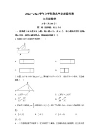 四川省成都市高新区2022-2023学年九年级上学期数学期末试题（原卷版)