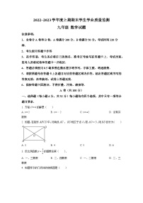 四川省成都市双流区2022-2023学年九年级上学期期末数学试题（原卷版)