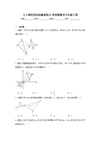 数学九年级下册6.6 图形的位似课后练习题