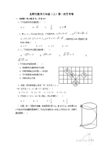 北师大版八年级上学期数学第一次月考试题