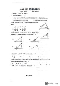 山东省聊城市+高唐县第一实验中学2023—2024学年上学期第一次学业水平评估九年级数学试题