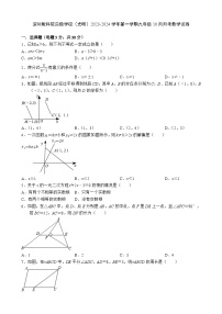 广东省深圳市教育科学研究院实验学校（光明）2023-2024学年上学期九年级10月月考数学试卷