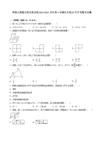 广东省深圳市南科大附属光明凤凰学校2023-2024学年上学期九年级10月月考数学试卷