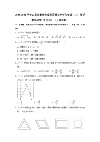 山东省泰安市岱岳区博文中学九2023-2024学年上学期9月开学考九年级数学试题