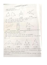 江苏省镇江市句容市华阳片2023-2024学年 八年级上学期10月考数学试卷