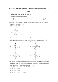 2023-2024学年湖南省娄底市九年级（上）月考数学试卷（10月份）（含解析）