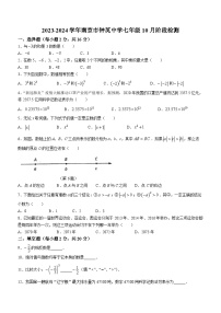 江苏省南京市秦淮区钟英中学2023-2024学年七年级上学期10月月考数学试题(无答案)