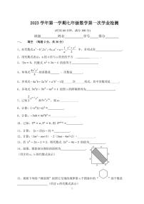 上海市宝山区罗南中学2023-2024学年七年级上学期第一次阶段测试数学试题