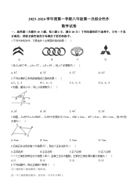 安徽省淮南市八公山区第九中学2023-2024学年八年级上学期第一次月考数学试题