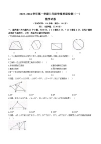 河北省沧州市献县万村中学2023-2024学年八年级上学期月考数学试题