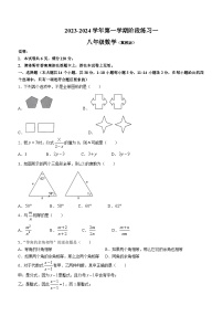 河北省邢台市襄都区第七中学等校2023-2024学年八年级上学期第一次月考数学试题