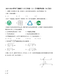 广西南宁市第三中学2023-2024学年八年级上学期月考数学试卷（10月份）