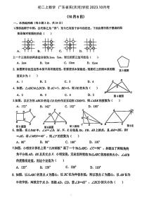 广东省广州市广东实验中学 2023—-2024学年上学期10月月考八年级数学试卷
