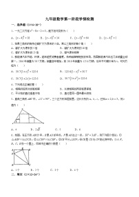 江苏省镇江市丹阳市第八中学2023-2024学年九年级上学期第一次月考数学试题(无答案)