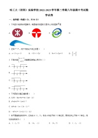 精品解析：广东省深圳市南山区哈工大（深圳）实验学校2022-2023学年八年级下学期期中考试数学试卷