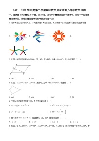 精品解析：广东省深圳市南山区2021-2022学年八年级下学期期末数学试题