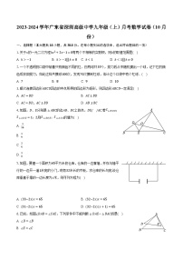 2023-2024学年广东省深圳高级中学九年级（上）月考数学试卷（10月份）(含解析）