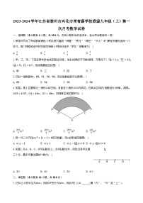 2023-2024学年江苏省泰州市兴化市常青藤学校联盟九年级（上）第一次月考数学试卷(含解析）