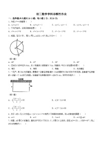 江苏省苏州市吴中区吴中区碧波中学2023-2024学年九年级上学期10月月考数学试题(无答案)