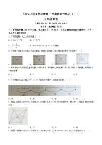 山西省晋中市平遥县2023-2024学年九年级上学期月考数学试题