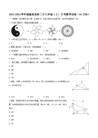 2023-2024学年福建省龙岩二中八年级（上）月考数学试卷（10月份）（含解析）