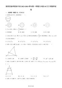 广东省深圳实验学校初中部2023-2024学年九年级上学期月考数学试题