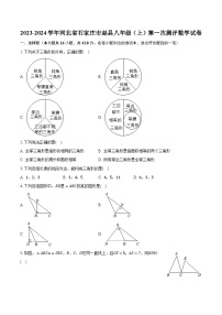 2023-2024学年河北省石家庄市赵县八年级（上）第一次测评数学试卷(含解析）