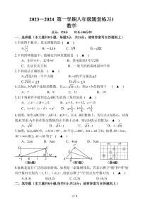 江苏省淮安市淮安区淮安经济技术开发区开明中学2023-2024学年八年级上学期10月月考数学试题