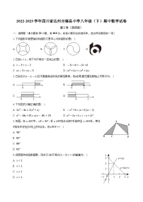 四川省达州市渠县中学2022—2023学年下学期八年级期中数学试卷