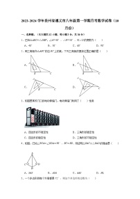 贵州省遵义市2023-2024学年八年级上学期月考数学试卷（10月份）