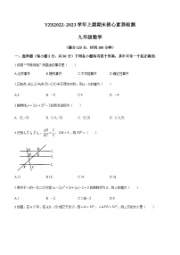 河南省许昌市禹州市2022-2023学年九年级上学期期末数学试题