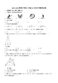 江苏省苏州市姑苏区草桥中学校2023-2024学年八年级上学期10月月考数学试题