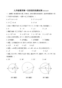 江苏省无锡市江阴市华士实验中学2023-2024学年九年级上学期第一次阶段性检测数学试卷