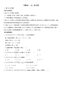 中考数学一轮复习核心考点精讲精练专题08 一元一次方程（2份打包，原卷版+解析版）