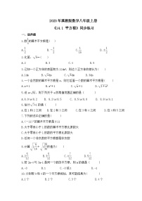 冀教版八年级上册14.1  平方根精品复习练习题