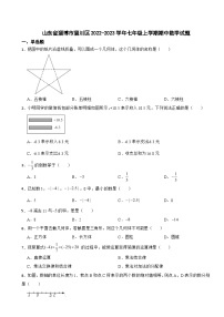 山东省淄博市2023年七年级上学期期中数学试题（附答案）