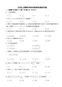 四川省宜宾市2023年七年级上学期期中数学试题（附答案）