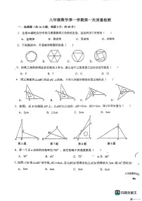 河北省廊坊市第四中学2023-2024学年八年级上学期10月月考数学试题